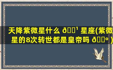 天降紫微星什么 🌹 星座(紫微星的8次转世都是皇帝吗 🌺 )